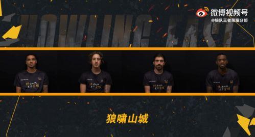 重庆狼队最新爆料,揭秘球队备战新赛季的神秘爆料
