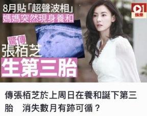 五胎宝妈爆料视频大全集,育儿生活全景大揭秘 第3张 五胎宝妈爆料视频大全集,育儿生活全景大揭秘 第3张