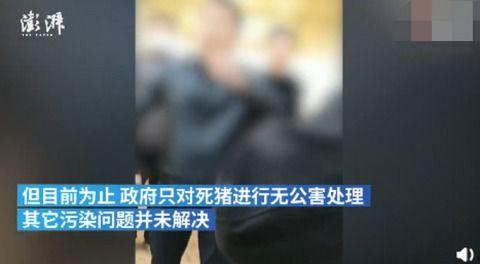 死猪新闻爆料视频大全,揭秘背后真相与反思 第3张 死猪新闻爆料视频大全,揭秘背后真相与反思 第3张