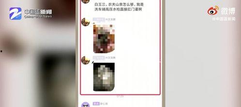 浙江教育爆料新闻事件最新,真相揭晓! 第3张 浙江教育爆料新闻事件最新,真相揭晓! 第3张