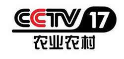 cctv9在线直播观看正在直播,聚焦全球热点，洞察世界风云