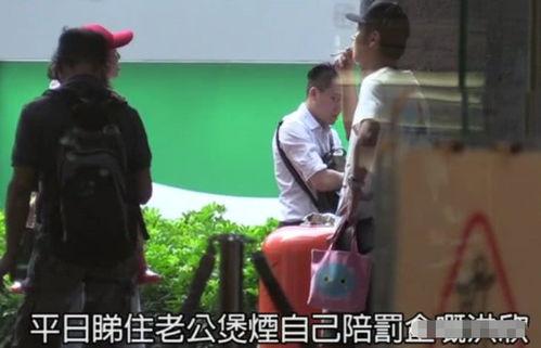 张丹峰爆料陈赫视频合集,真相与争议全解析 第3张 张丹峰爆料陈赫视频合集,真相与争议全解析 第3张