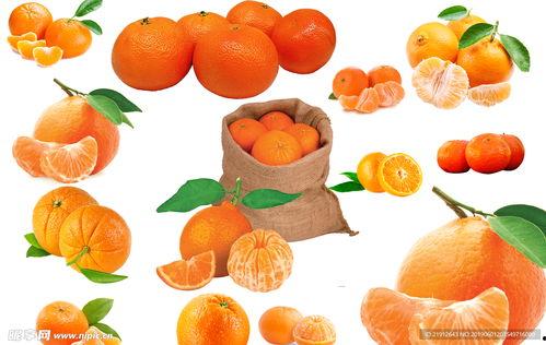 橘子最新爆料文案图片素材,明星幕后花絮大曝光! 第2张 橘子最新爆料文案图片素材,明星幕后花絮大曝光! 第2张
