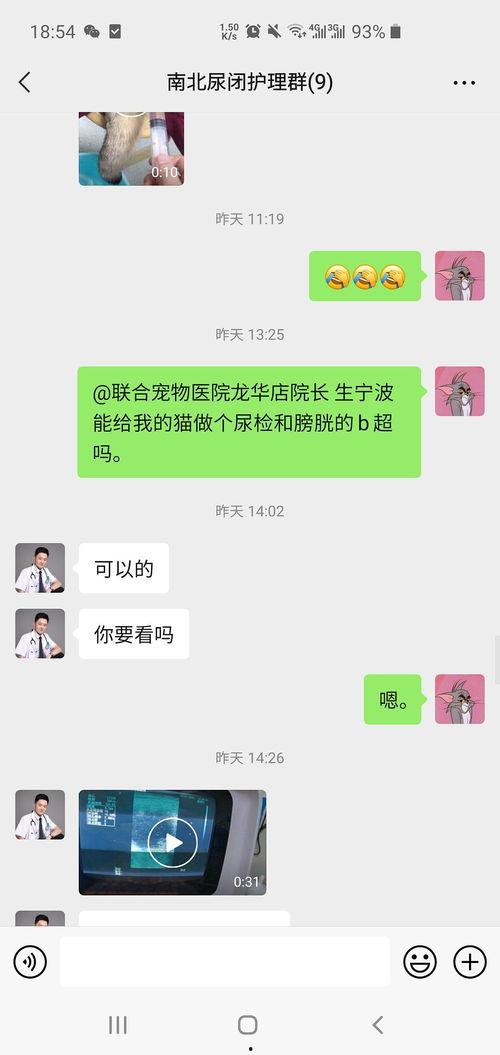 黑心宠物爆料视频,视频曝光惊人内幕
