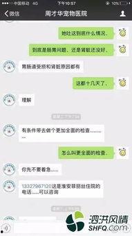 黑心宠物爆料视频,视频曝光惊人内幕 第3张 黑心宠物爆料视频,视频曝光惊人内幕 第3张