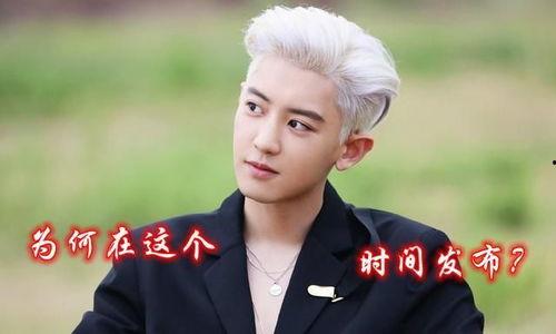 爆料韩国娱乐圈朴灿烈,韩国娱乐圈的璀璨明星 第3张 爆料韩国娱乐圈朴灿烈,韩国娱乐圈的璀璨明星 第3张