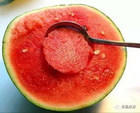 有什么免费吃瓜群,畅享娱乐盛宴,轻松获取热门资讯 第3张 有什么免费吃瓜群,畅享娱乐盛宴,轻松获取热门资讯 第3张