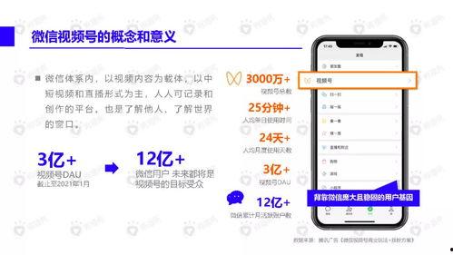 王者至尊最新爆料视频下载,揭秘神秘英雄与全新游戏玩法  第3张