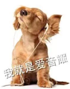 猫神续约爆料视频下载手机版,手机版爆料视频深度解析