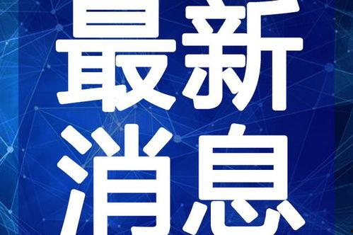 仙桃最新爆料事件新闻视频,事件视频揭露惊人真相！